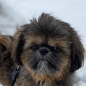 Meet your Posher, Denise